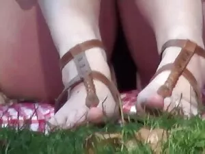 Anna Kitty顶级小灰色奶油蛋糕， ...
