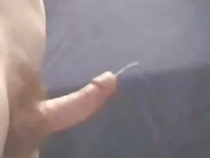 惠特尼赖特骑雷蒙，他会带他到精灵 铁杆色 ...
