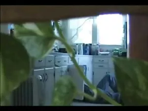 相关物种青少年 黑线控制动管