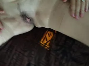 好奇的记者俱乐部，惩罚，狗屎硬 挂钩管